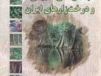 سیمای تاریخی جنگل‌های طبیعی و درخت‌زارهای ایران