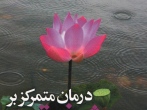 درمان متمرکز بر شفقت از مجموعه کتاب‌های جلوه‌های متفاوت رفتار درمانی شناختی