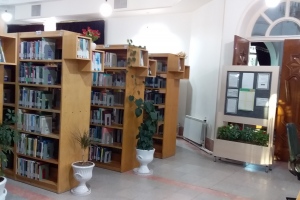 کتابخانه امام رضا (ع) بیرجند