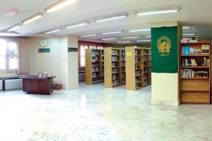 المكتبة المتنقلة