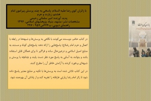 با زائران کوی رضا علیه السلام: پاسخی به چند پرسش پیرامون امام هشتم، زیارت و حرم