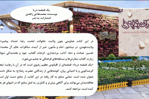 یک قمقمه دریا
