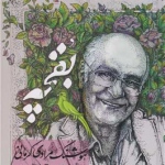 با «بقچه» مرادی کرمانی آشنا شوید 